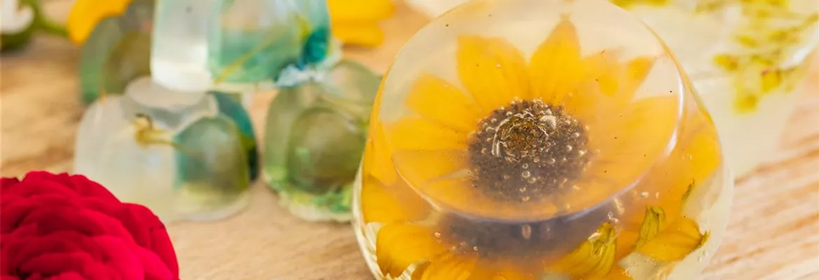 Blumenseife - die etwas andere Seife mit Blüten