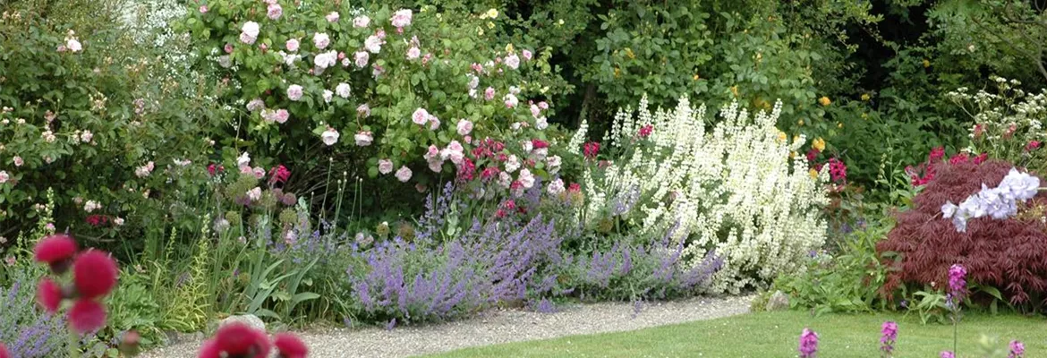 Aller Anfang ist (nicht) schwer - der erste eigene Garten
