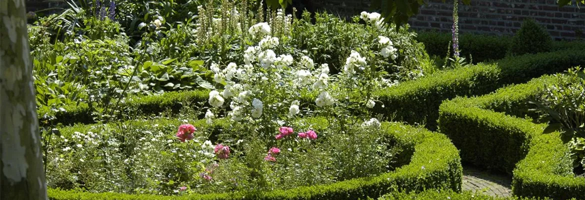 Cottage Garden: Englisches Flair im eigenen Garten