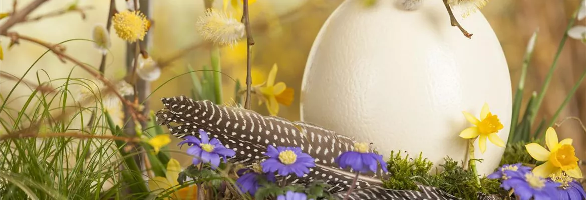 Das Garten-Paradies für Osterhase und Co.