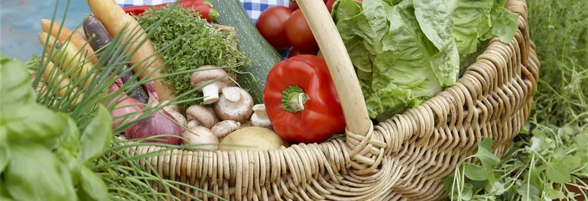 Das Pflanzen von Gemüse 