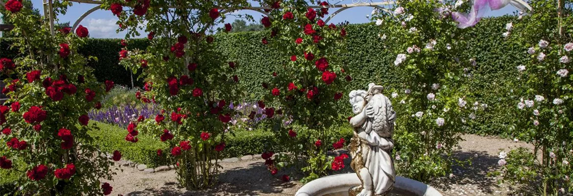 Der Barockgarten: royales Flair im eigenen Garten