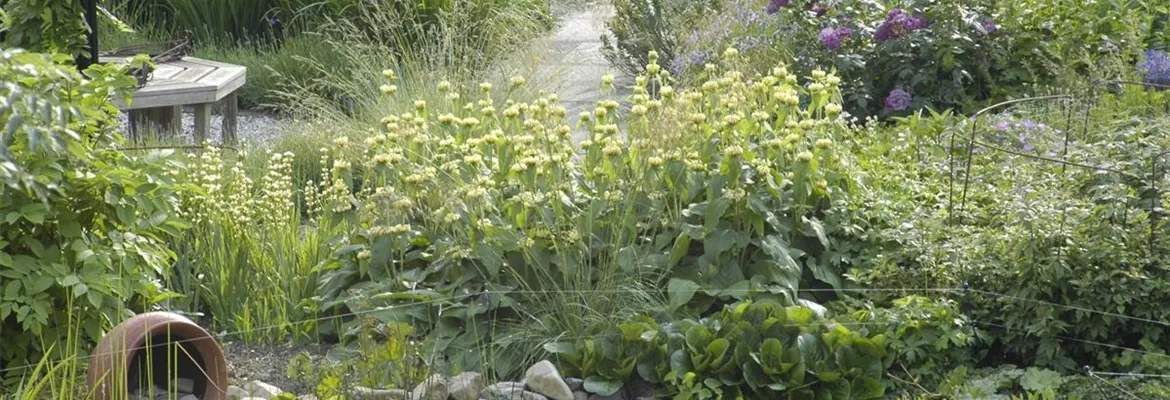 Der Naturgarten - Ausgleich zum Arbeitsalltag
