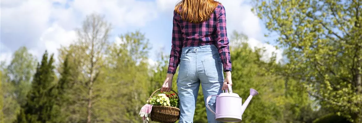 Alles auf Anfang – ein Blumenbeet anlegen