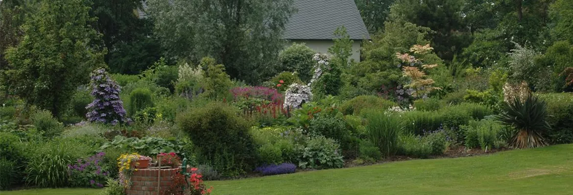 Der Brunnen im Garten – nicht nur beim Froschkönig beliebt