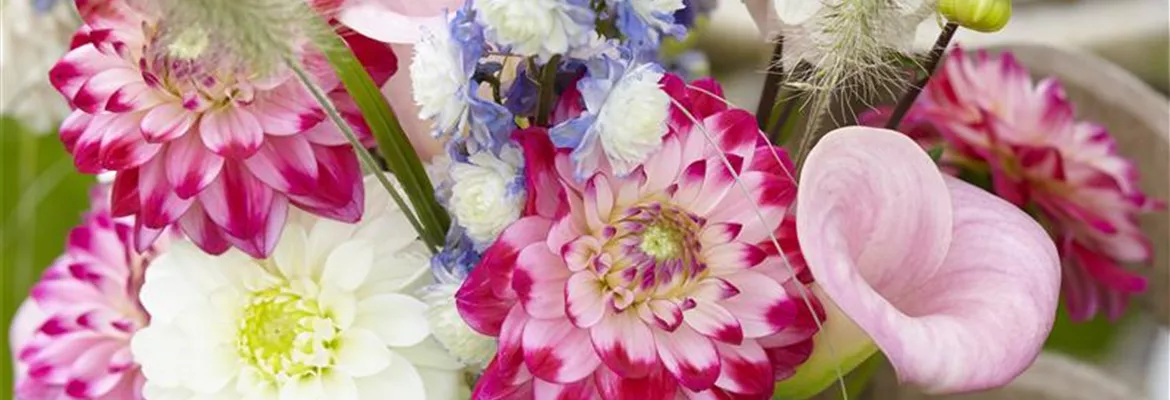 Beauty-Kur für den Blumenstrauß: Pülverchen und Hausmittel